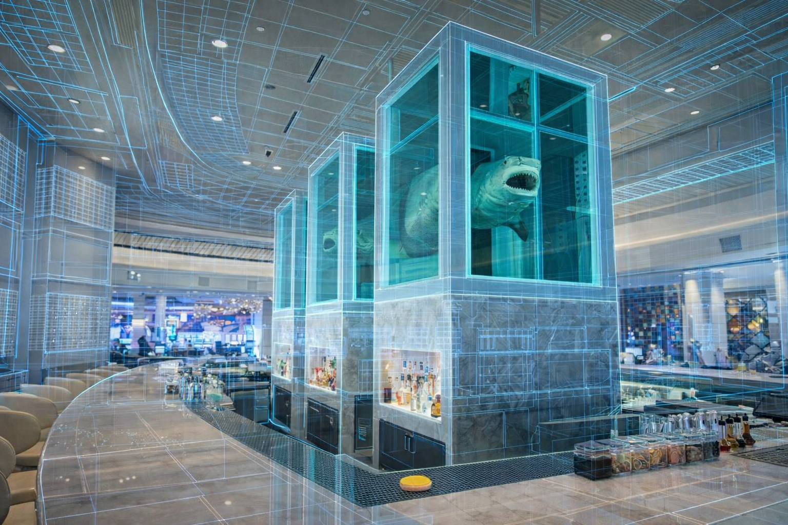 Large Commercial Interior